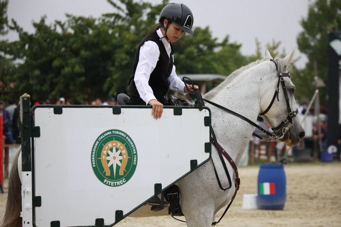 Morso argentino – Tattini – Alexandra Saddlery